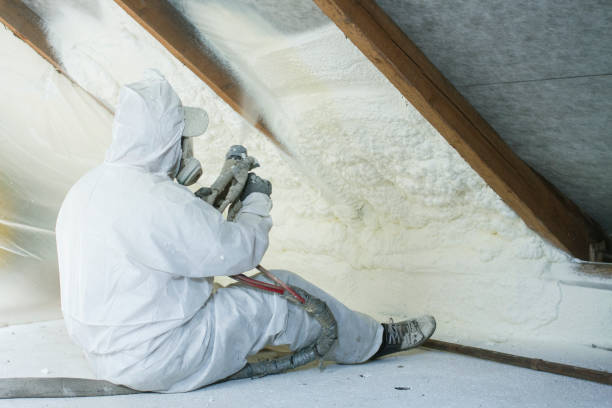 Best Eco-Friendly Insulation Solutions  in USA